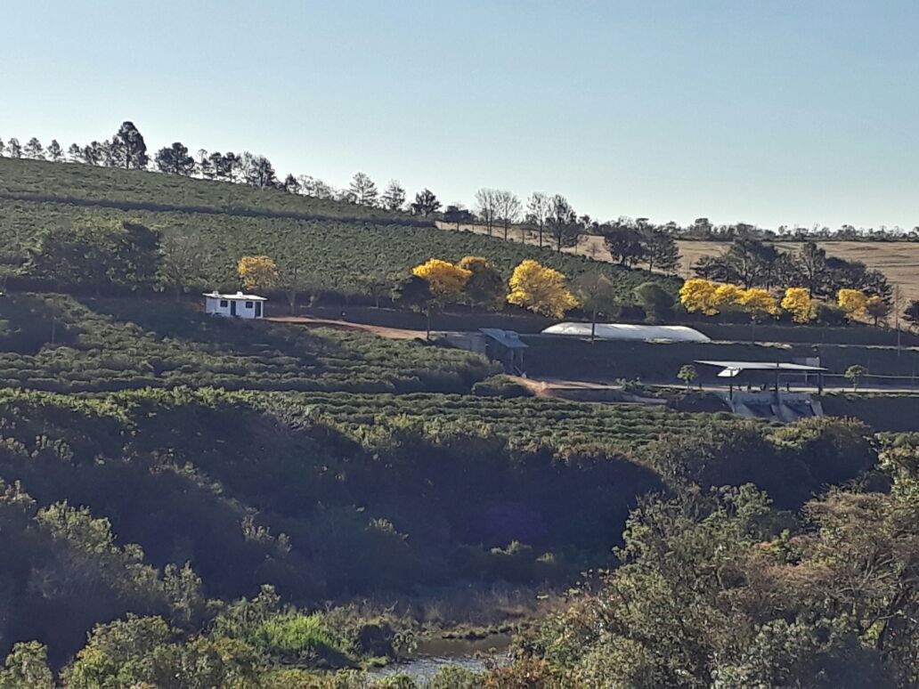 FAZENDA CERRADO 2